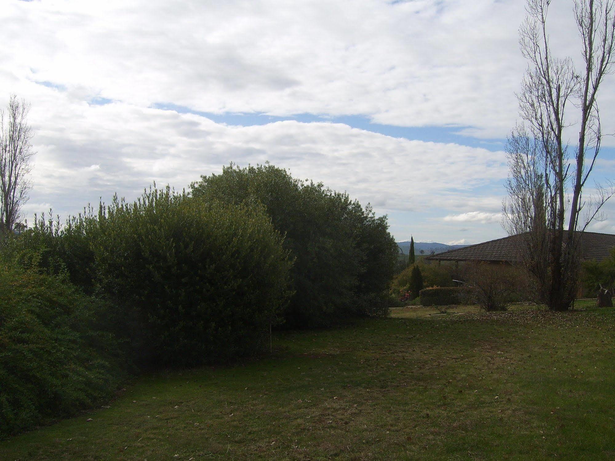 Garden Motor Inn Gundagai Bagian luar foto