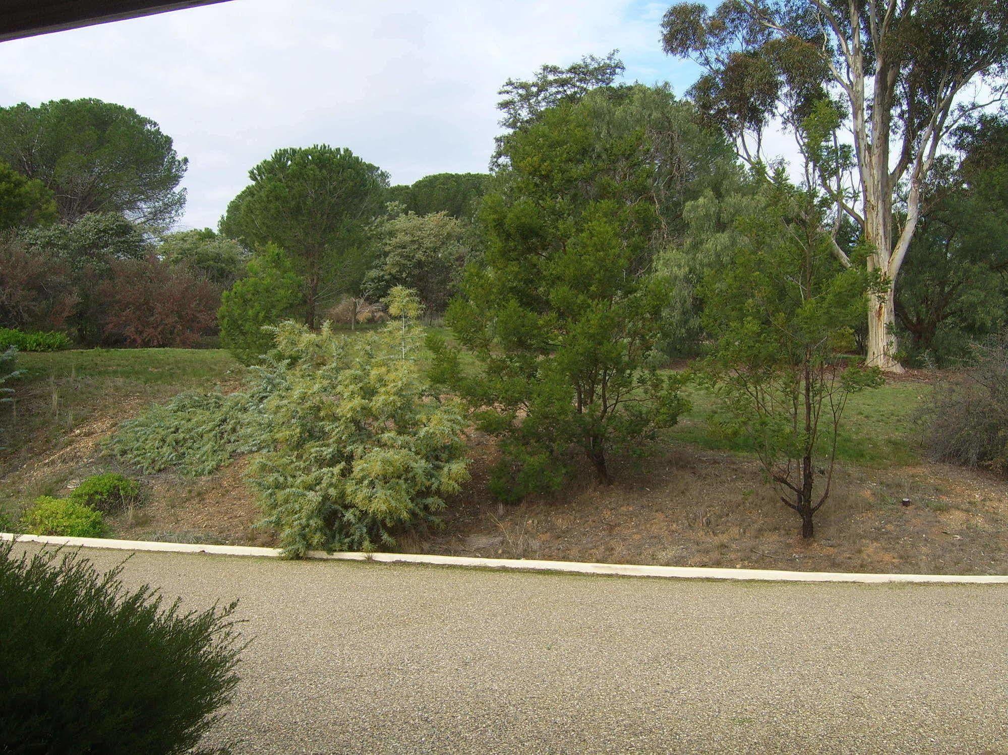 Garden Motor Inn Gundagai Bagian luar foto
