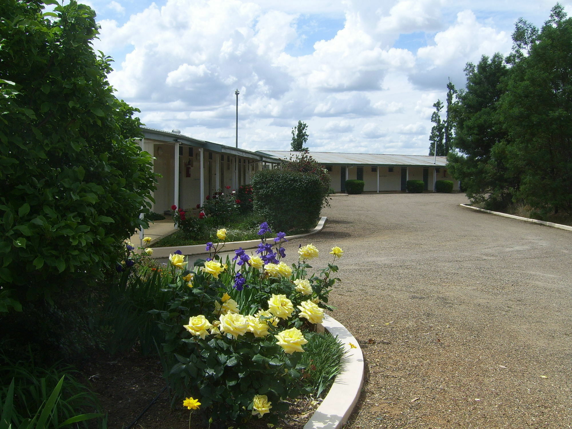 Garden Motor Inn Gundagai Bagian luar foto